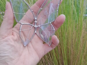 papillon transparent et blanc